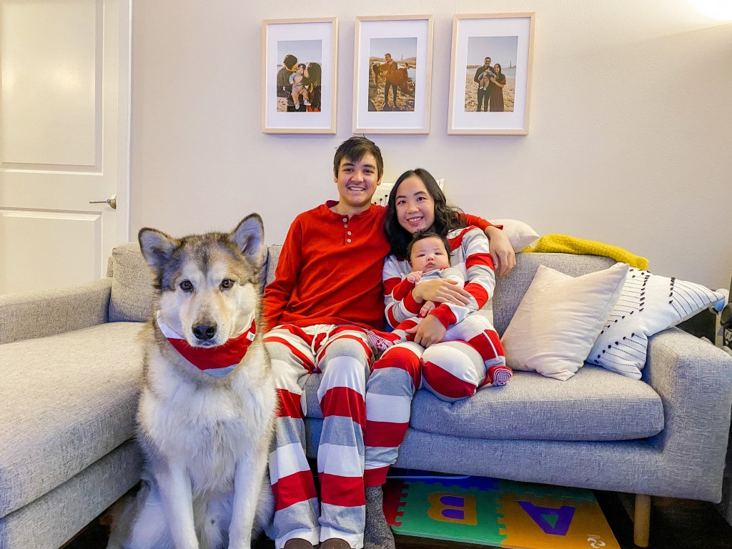 Our first Christmas with&nbsp;Remy